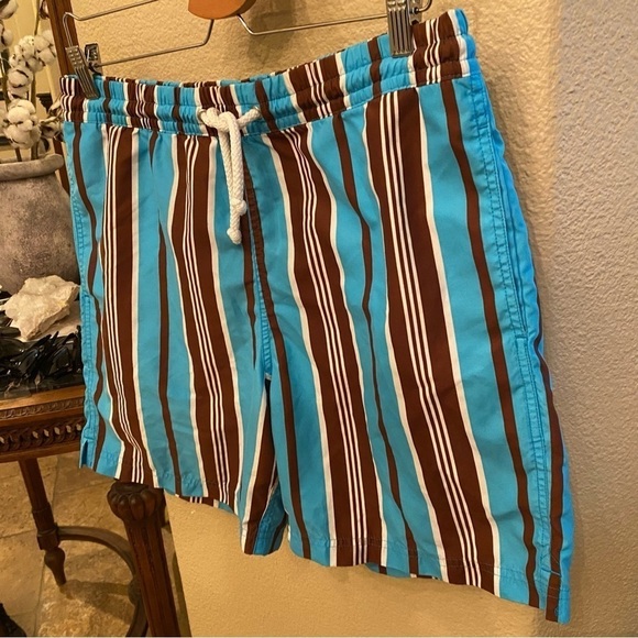 TAILORBYRD Men Blue Brown Striped Swim Trunk Shorts Size Medium - Picture 2 of 9